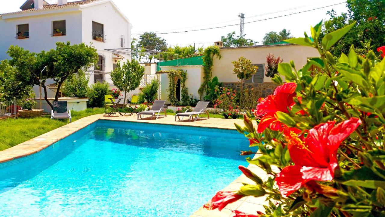 אורגיווה Villa Adelaida מראה חיצוני תמונה