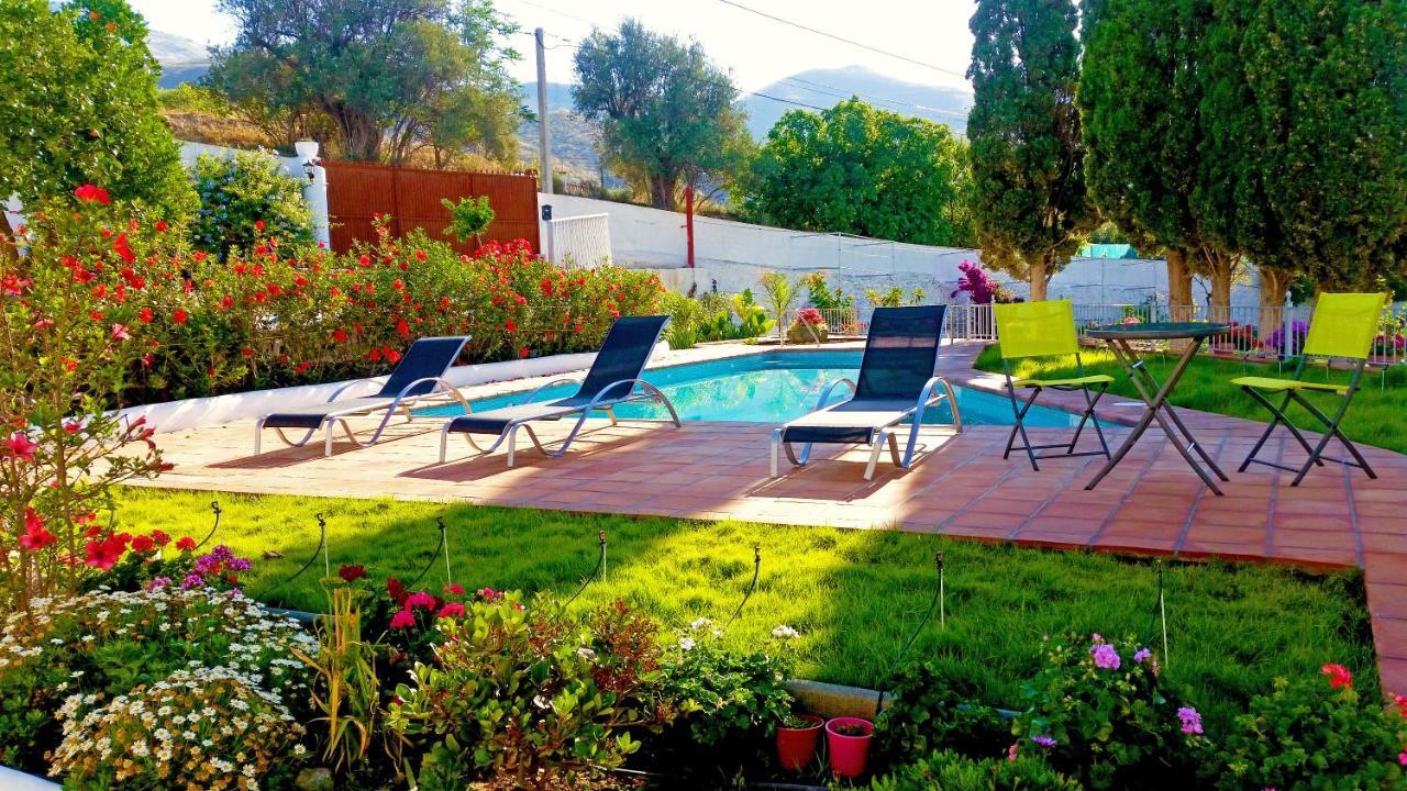 אורגיווה Villa Adelaida מראה חיצוני תמונה