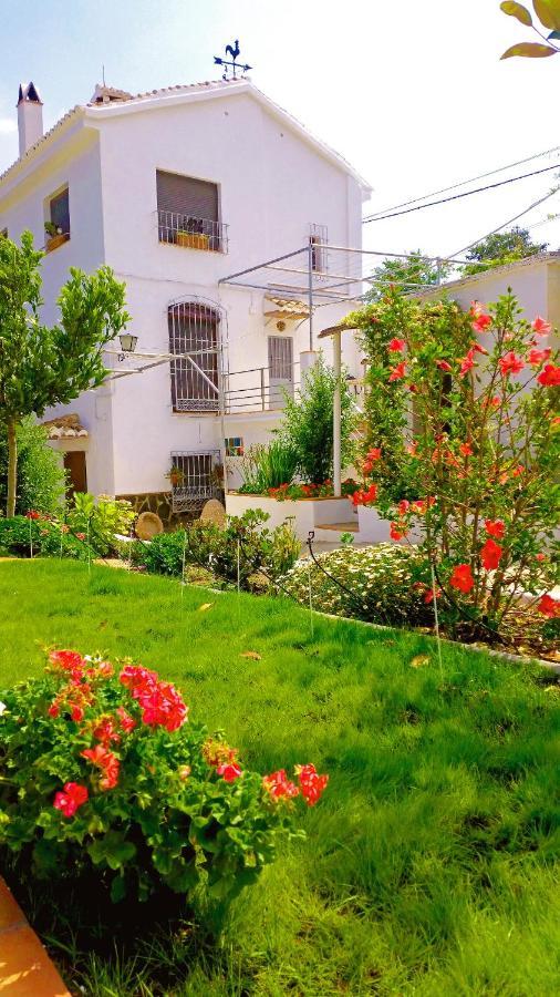 אורגיווה Villa Adelaida מראה חיצוני תמונה