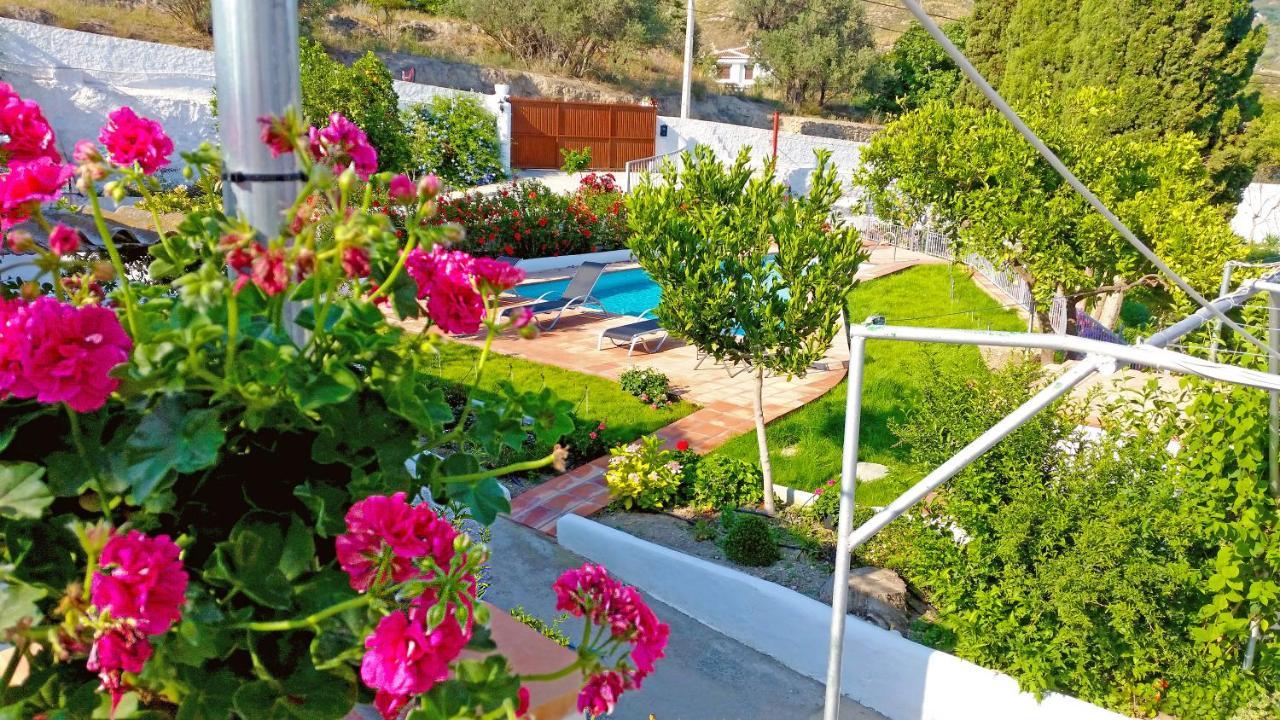 אורגיווה Villa Adelaida מראה חיצוני תמונה